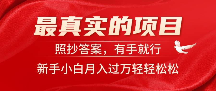 最真实的项目，照抄答案，有手就行，新手小白月入过万轻轻松松-领航创业网