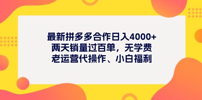 最新拼多多项目日入4000+两天销量过百单，无学费、老运营代操作、小白福利-领航创业网