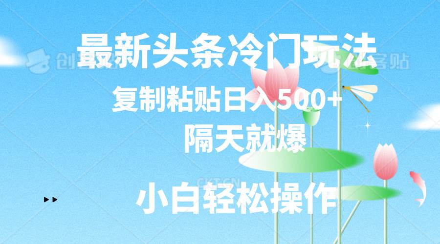 最新头条冷门玩法，隔天就爆，复制粘贴日入500+-领航创业网