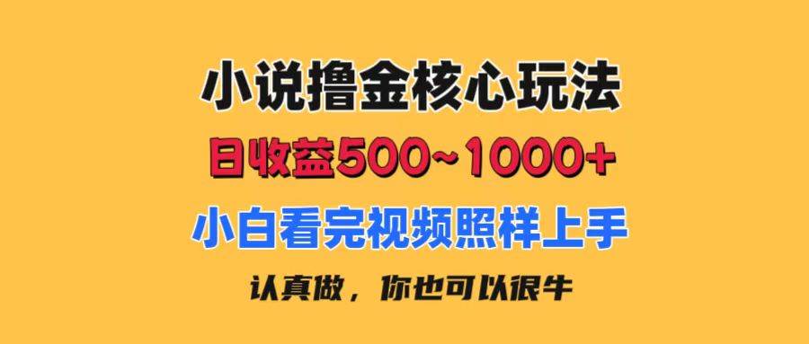 小说撸金核心玩法，日收益500-1000+，小白看完照样上手，0成本有手就行-领航创业网