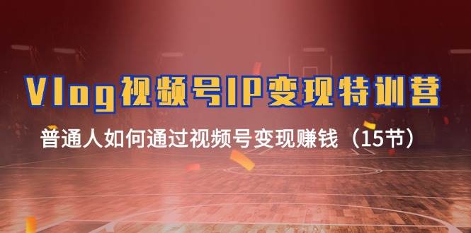 Vlog 视频号IP变现特训营，普通人如何通过视频号变现赚钱（15节）-领航创业网